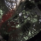December_July15th_4am_video.00_01_37_11.Still009