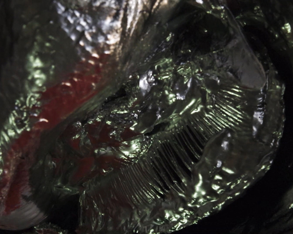 December_July15th_4am_video.00_01_37_11.Still009