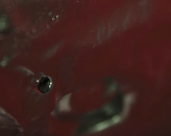 December_July15th_4am_video.00_03_58_21.Still014