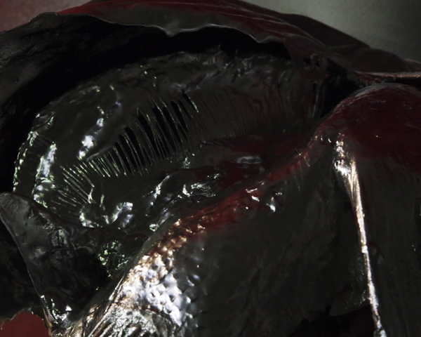December_July15th_4am_video.00_04_13_11.Still015