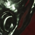 December_July15th_4am_video.00_04_47_27.Still019