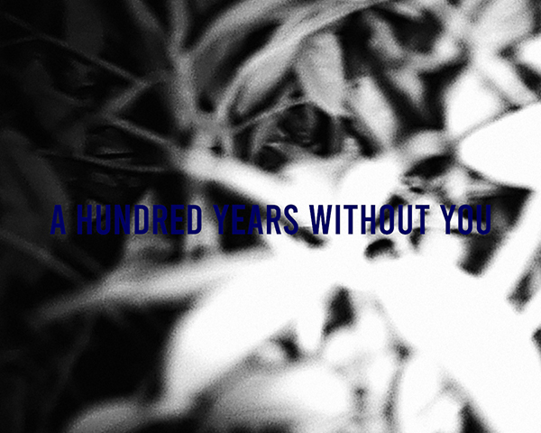 NVDC0019.00_00_05_17.Still002
