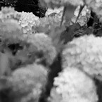 NVDC0019.00_00_16_19.Still003