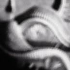 NVDC0019.00_00_58_02.Still007