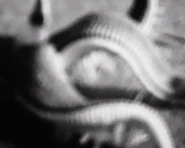 NVDC0019.00_00_58_02.Still007