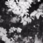 NVDC0019.00_01_23_00.Still008