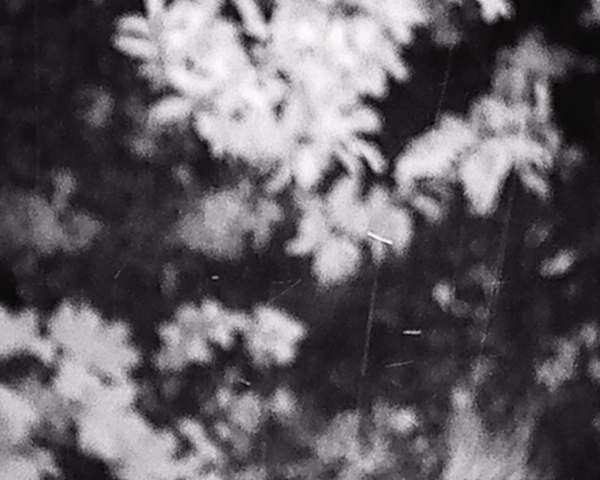 NVDC0019.00_01_23_00.Still008