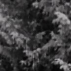 NVDC0019.00_03_22_09.Still019