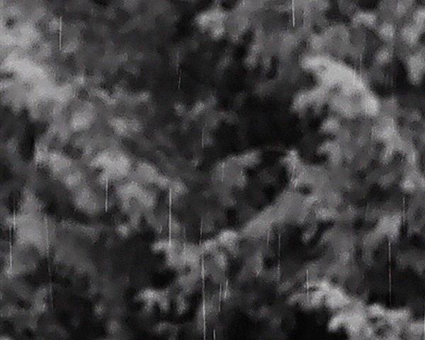 NVDC0019.00_03_22_09.Still019