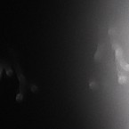 NVDC0019.00_03_32_19.Still020