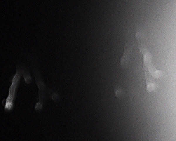 NVDC0019.00_03_32_19.Still020