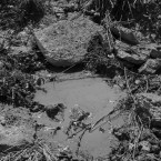 Royaume01