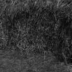 Royaume06