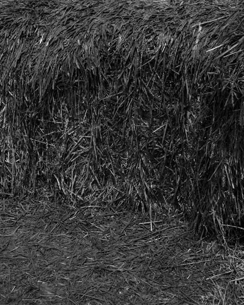 Royaume06